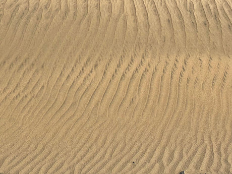 Andrew Aston XXL pornstar free archive