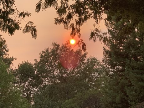 Dis D3x D pornstar perfect pic