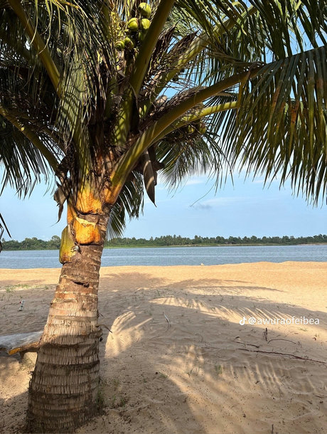 Q Ree sex model pics