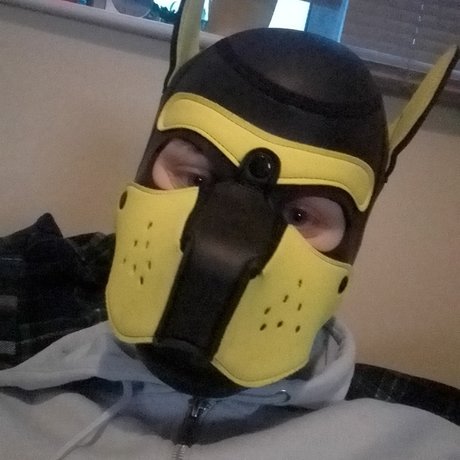 QAURTZ PUP pornstar gallery