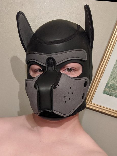 Pup Jackal perfect model gallery