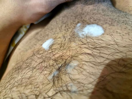 Rabbitwallis model top picture