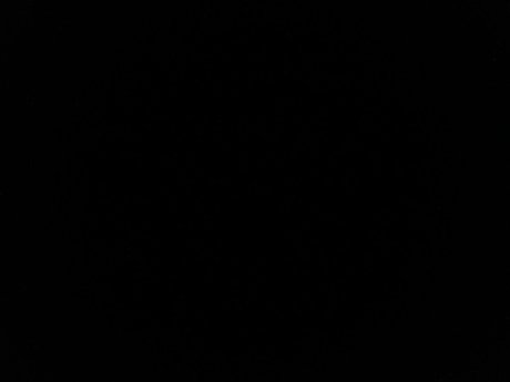 Dany Gomes nudes star photos