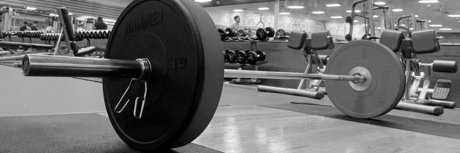 DREGEETONE exclusive star gallery