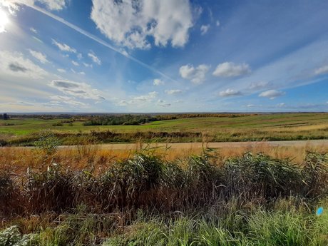 Rainbow James pornstar free gallery