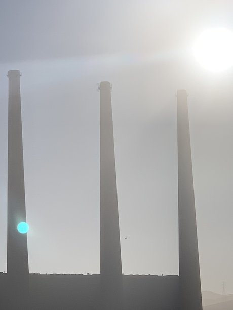 Raul Pacheco pretty pornstar image