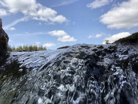 Rich Rowe adult model archive