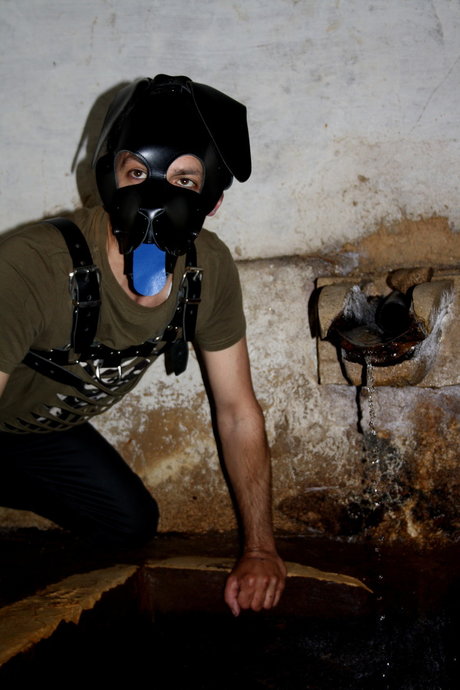 pup Regaleiro pornstar photos