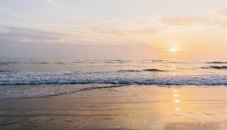 Robert f exclusive pornstar pic