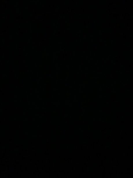 Rvargasphotography porn star img