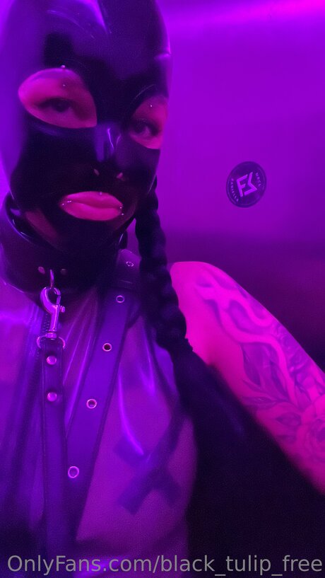 rubber tulip exclusive star img