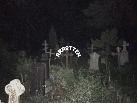 Corpse Bride star naked img