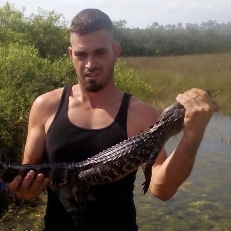 Rpbpegg0303 Aaron Pegg star high quality img