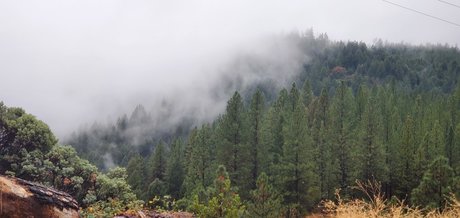 Rosey Thorns erotic actress pictures