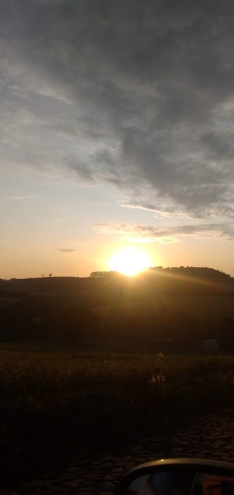 Rose veres top star galleries