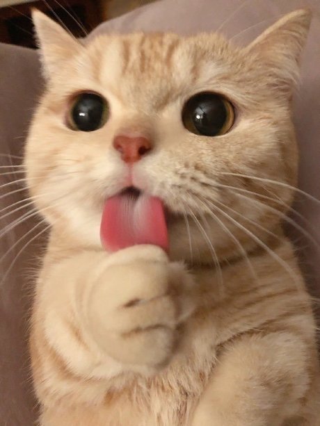 SAME_ hd actress photos