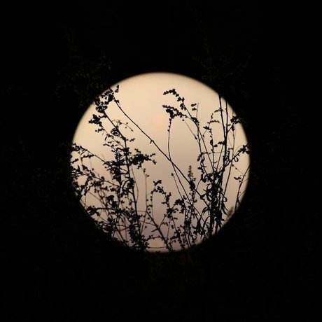 Chevy Douche best pornstar gallery