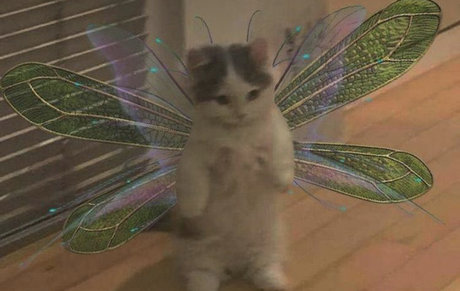 Saaga Aurora pornstar top images