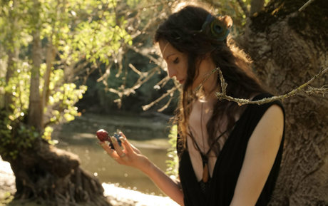 yulladao hd star gallery