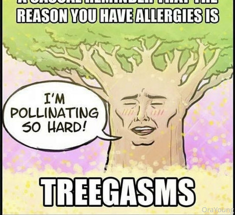 onlyora model top picture