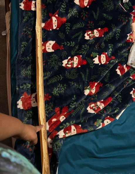 bigbellyjudy perfect star picture