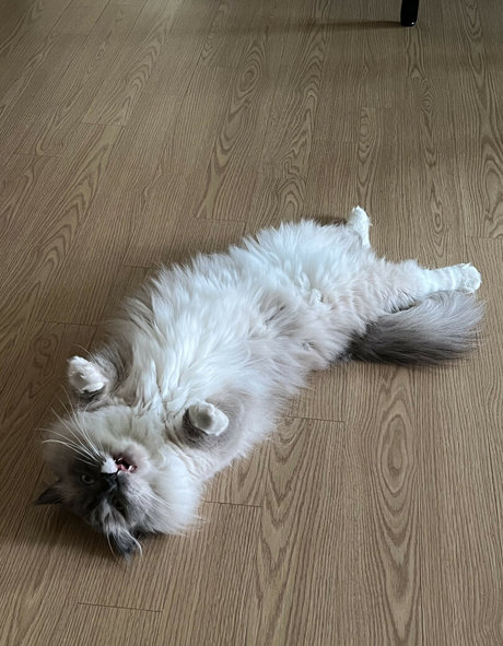 hinachan01 star sex pictures