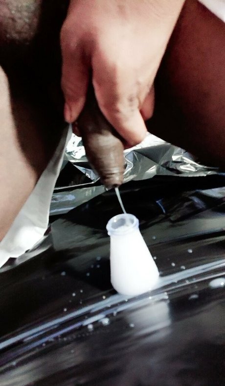 cocoa moo star high quality gallery