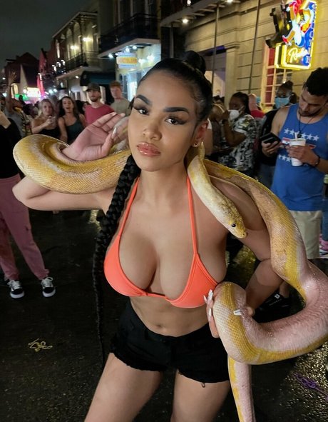 sheismichaela beautiful star archive