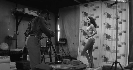 Gretchen Mol xxx star photo