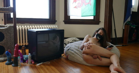 noodlybat best pornstar pics