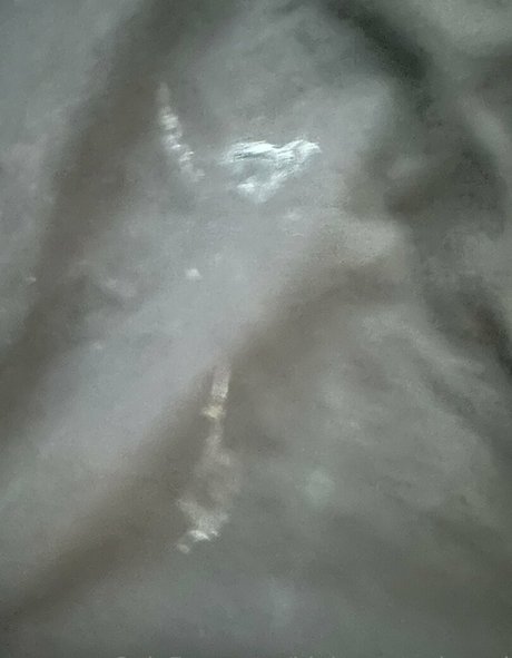 bigbootytechnerd star art photos