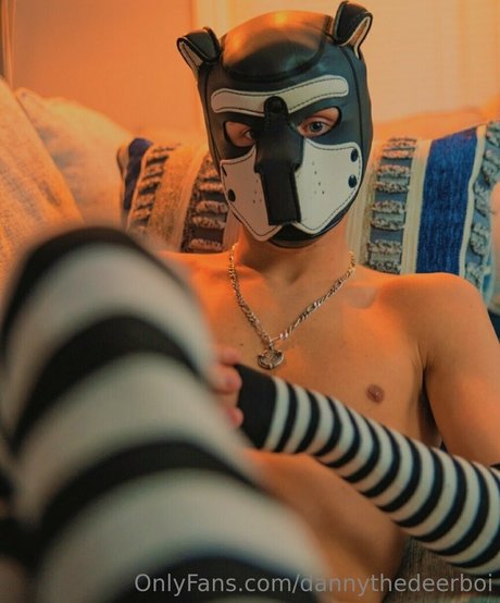 dannythedeerboi adult actress pictures