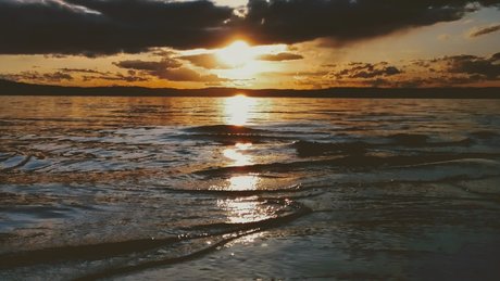 Saria Eden sexy pornstar galleries