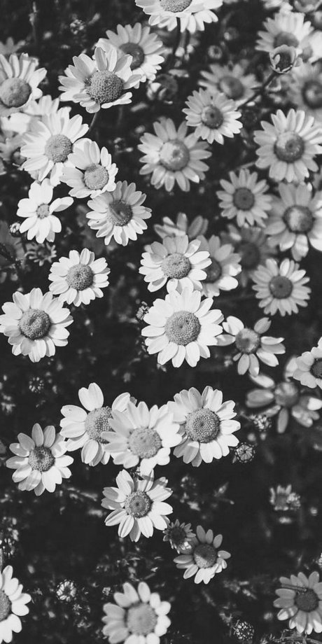 Sam Noskow exclusive star image