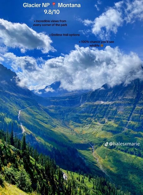 Sarsar1123 high quality pornstar photo