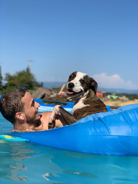 Rylan Lee star perfect pictures