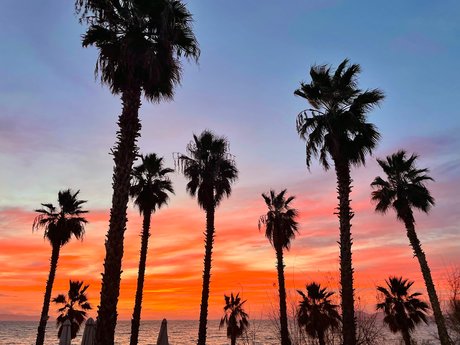 luii porn actress pictures