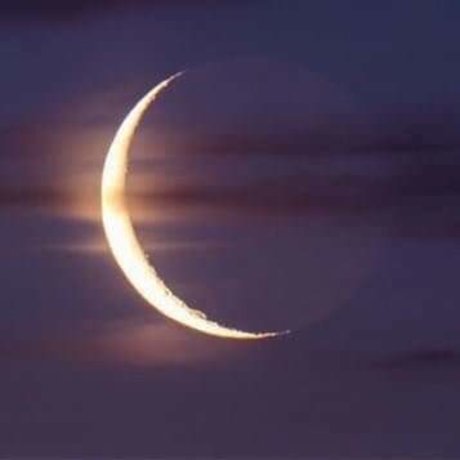 Orion model hot archive