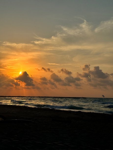 Sexy girl packs_ beautiful model pics