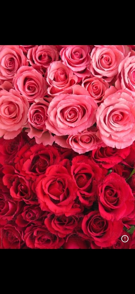 YKandyYaang_ naked model pics