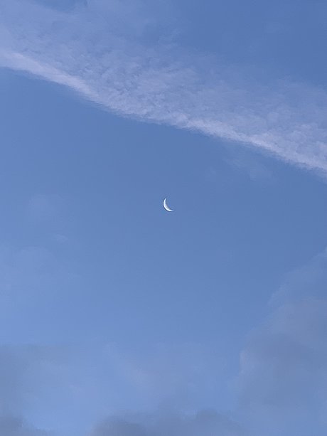 Althea_ pornstar xxx images