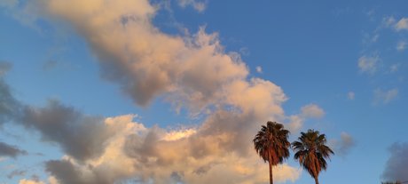 Teddy Velazquez sexy actress image