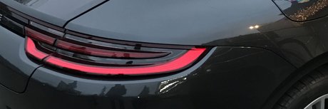 handsome bunny_ model art photo