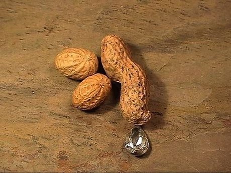 Ashtyn s Playground_ pornstar sex image