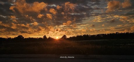 Shawna perfect star pics