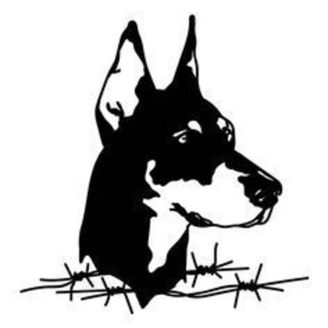 OFMANAGMENT amp amp MARKETING_ hot star img