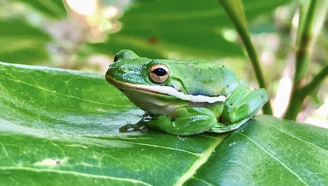 naveltrailblazer3 pornstar erotic img