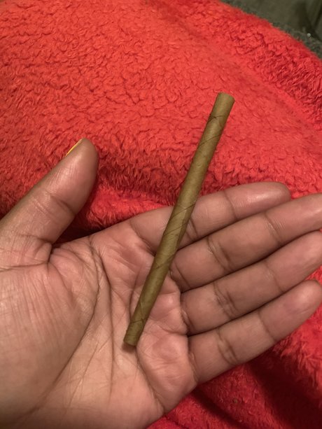 wanna come_ pornstar exclusive galleries