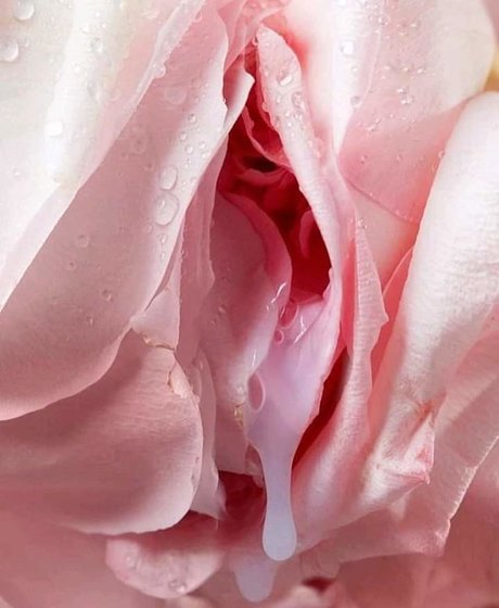 Mama Karma art pornstar galleries