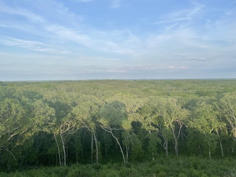 MisterG perfect pornstar photo